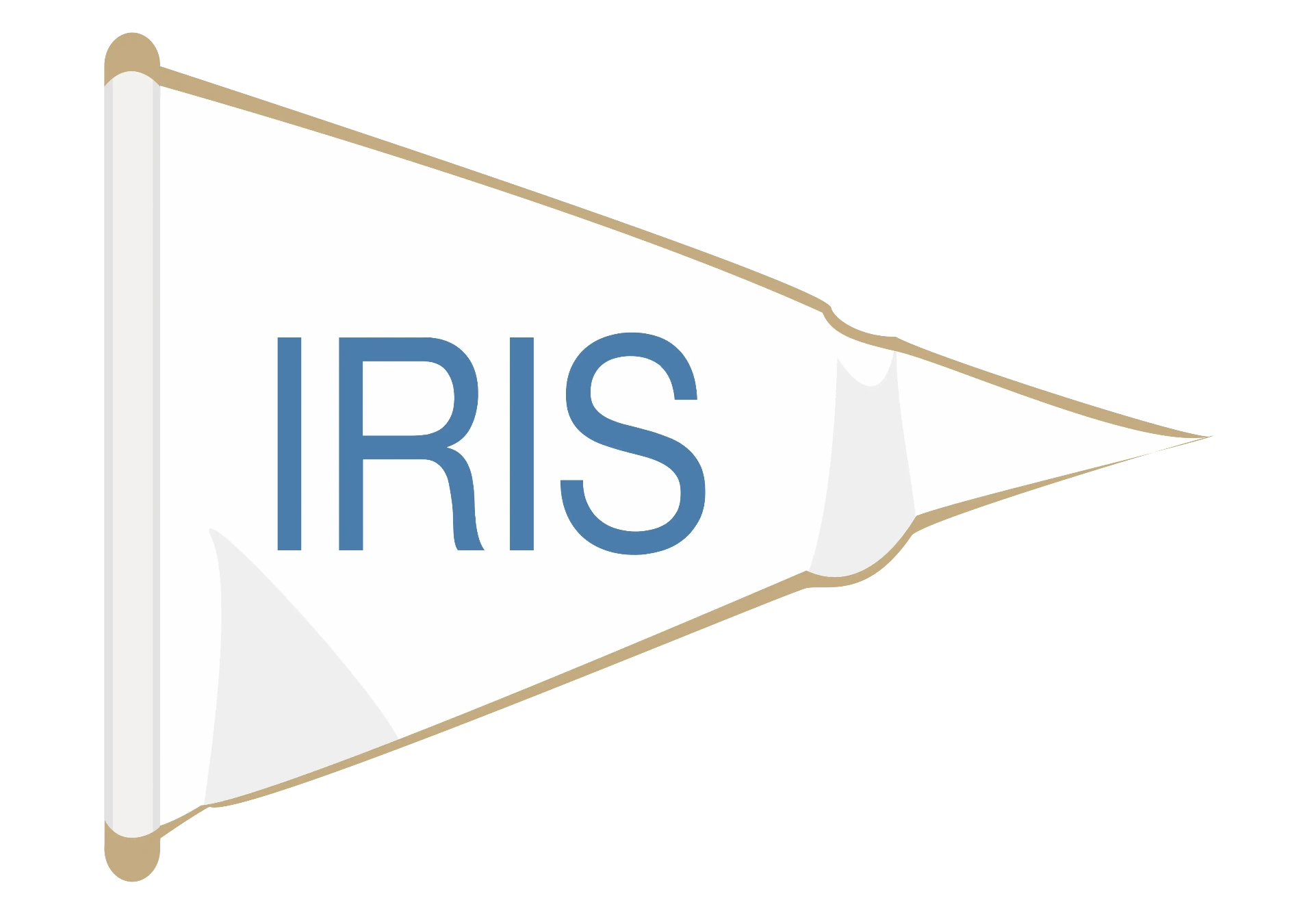 IRIS logo
